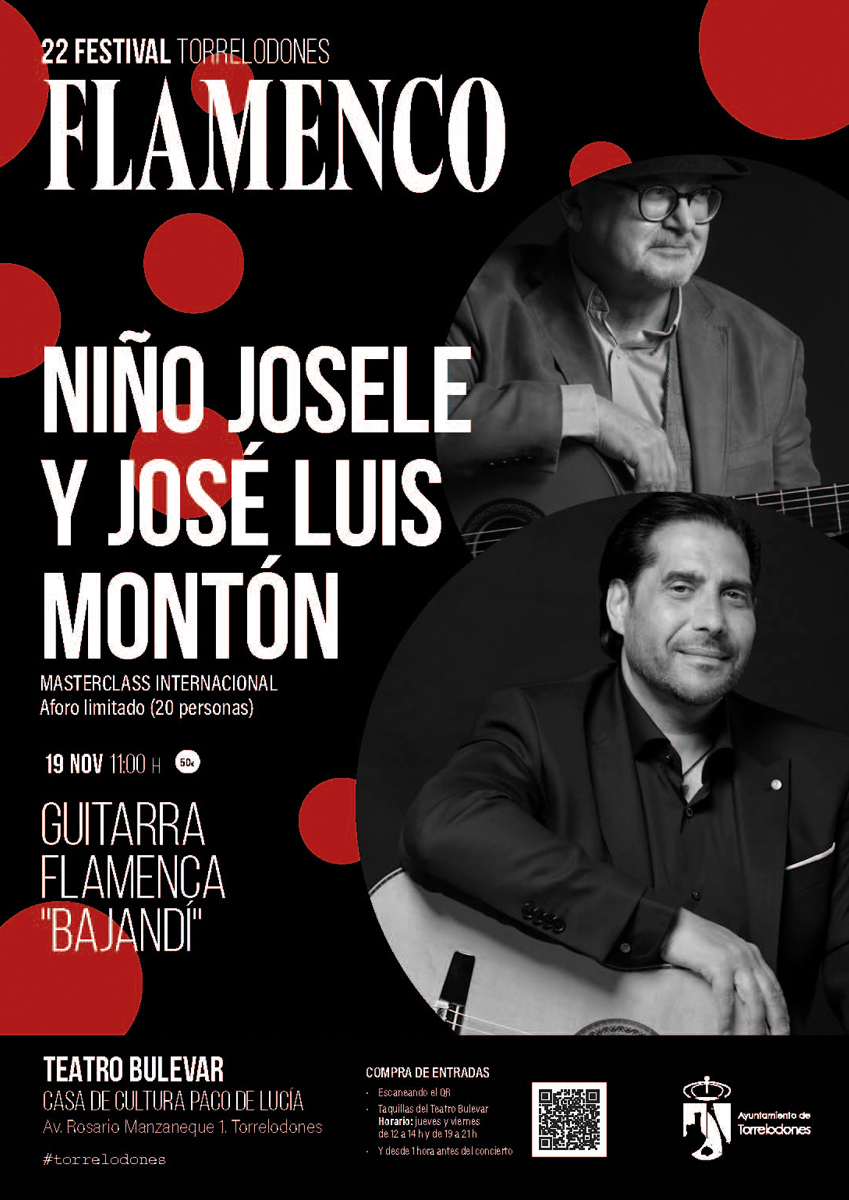 Niño Josele, guitarrista flamenco