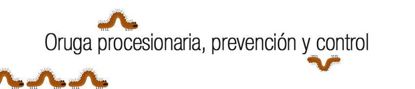 Oruga procesionaria del pino