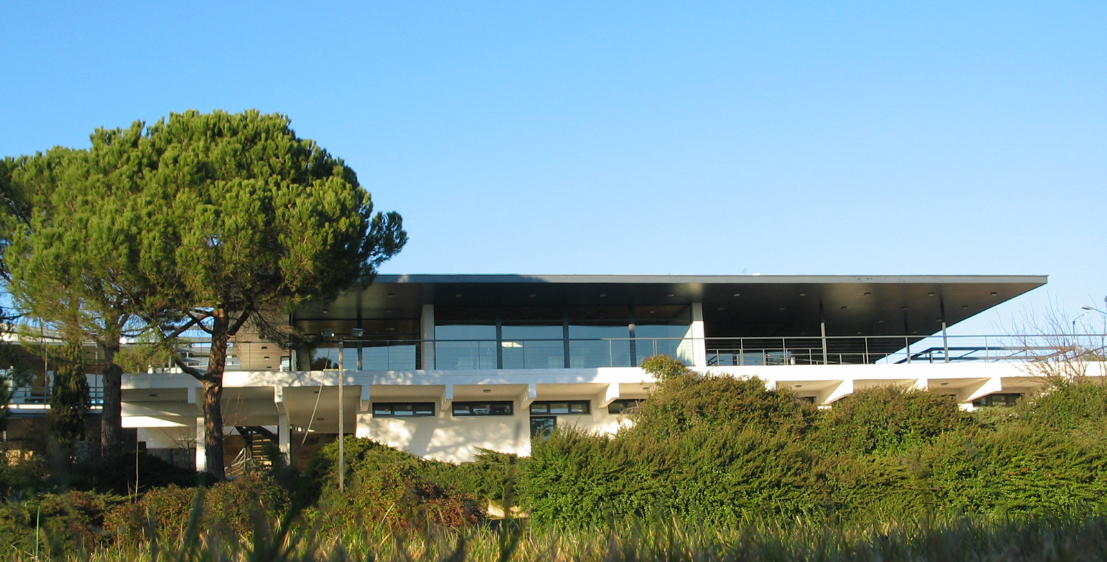 Club de Campo-Torreforum