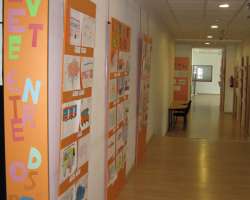 Zona Joven Torreforum 13