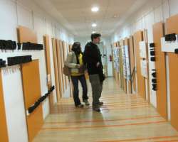 Zona Joven Torreforum 1