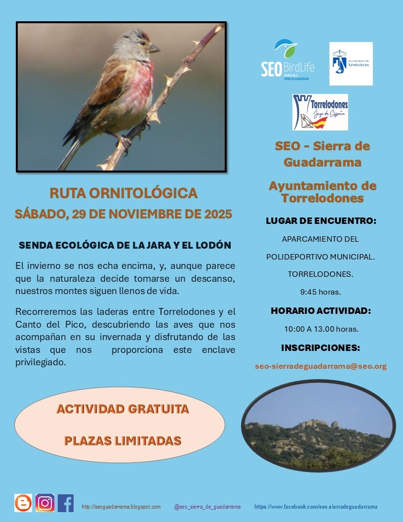 ruta ornitoloogica 29 noviembre